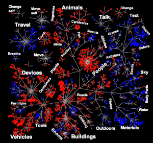 Visualization of how the brain categorizes events.
