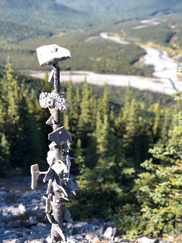 Forget Me Not Ridge 11