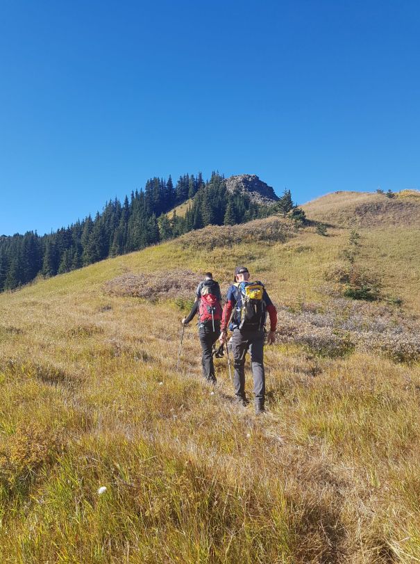 Forget Me Not Ridge 14