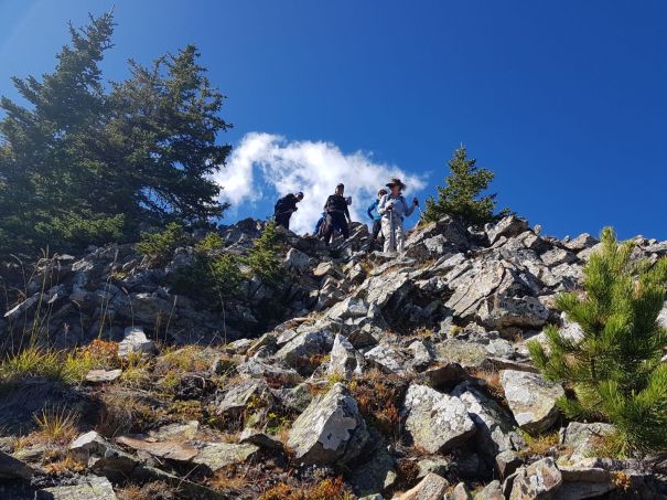 Forget Me Not Ridge 15