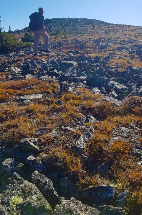 Forget Me Not Ridge 16