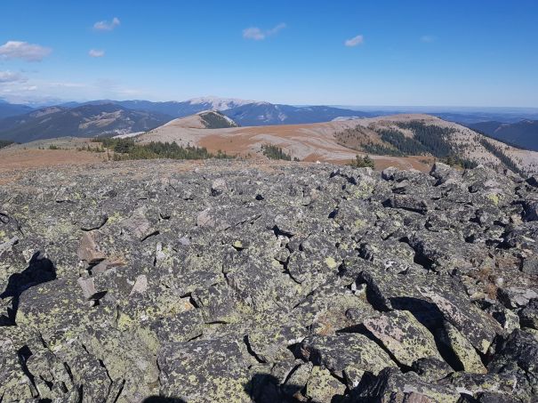 Forget Me Not Ridge 17