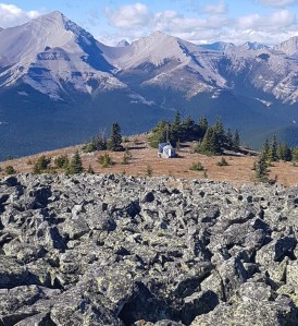 Forget Me Not Ridge 18