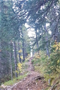 Forget Me Not Ridge 7