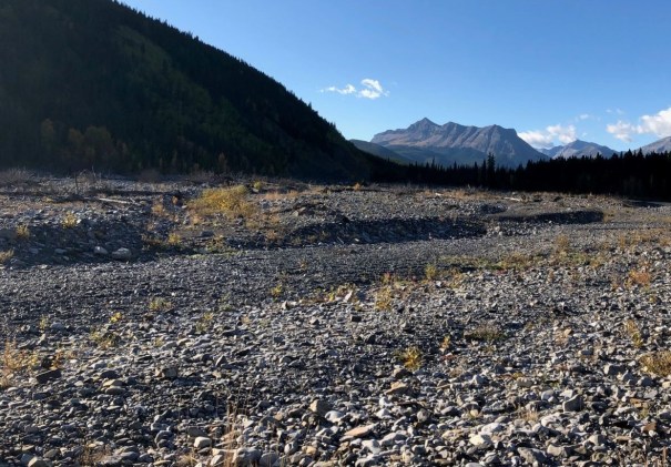 Forget Me Not Ridge 8