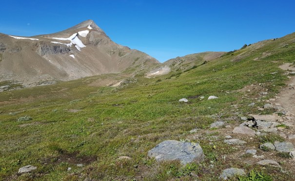 Skyline Trail 16.jpg