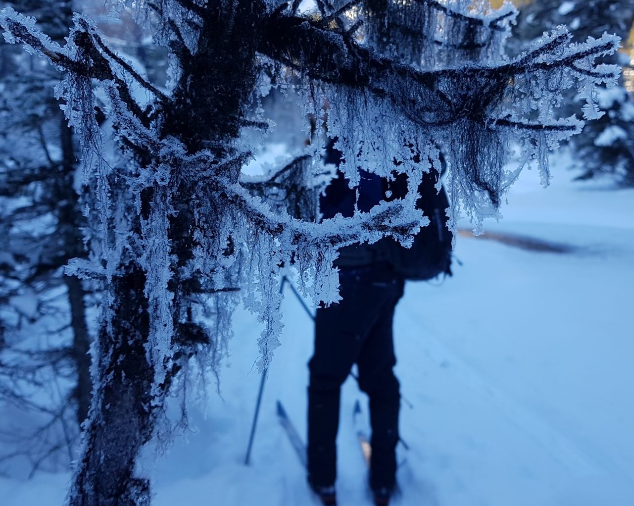 Keep your Phone Battery from Dying in Cold Weather | Alisen Dopf