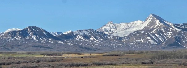 A panoramic view of snow-capped mountains under a clear blue sky, with a foreground of grassy fields.