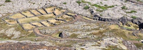 Aerial view of ancient sheep corrals made of stone walls in Iceland, showing uneven terrain and greenery.