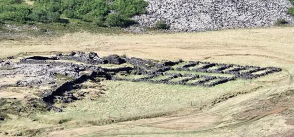 Remains of ancient sheep corrals built from stacked lava stones in a grassy landscape, with low walls outlining the pens.