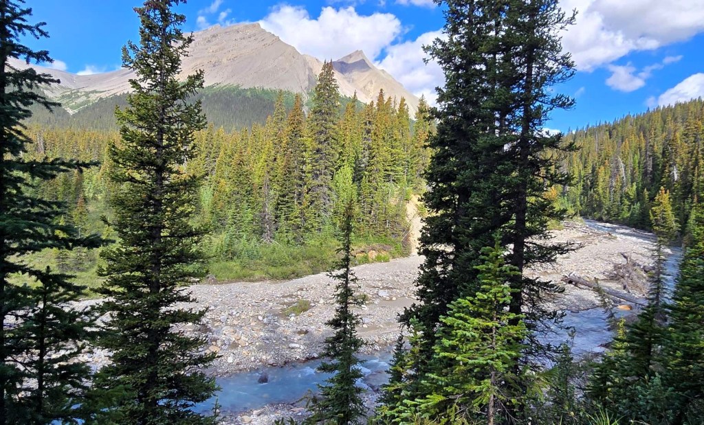 A scenic view of a river flowing through a rocky landscape, surrounded by tall coniferous trees and mountains under a partly cloudy sky.