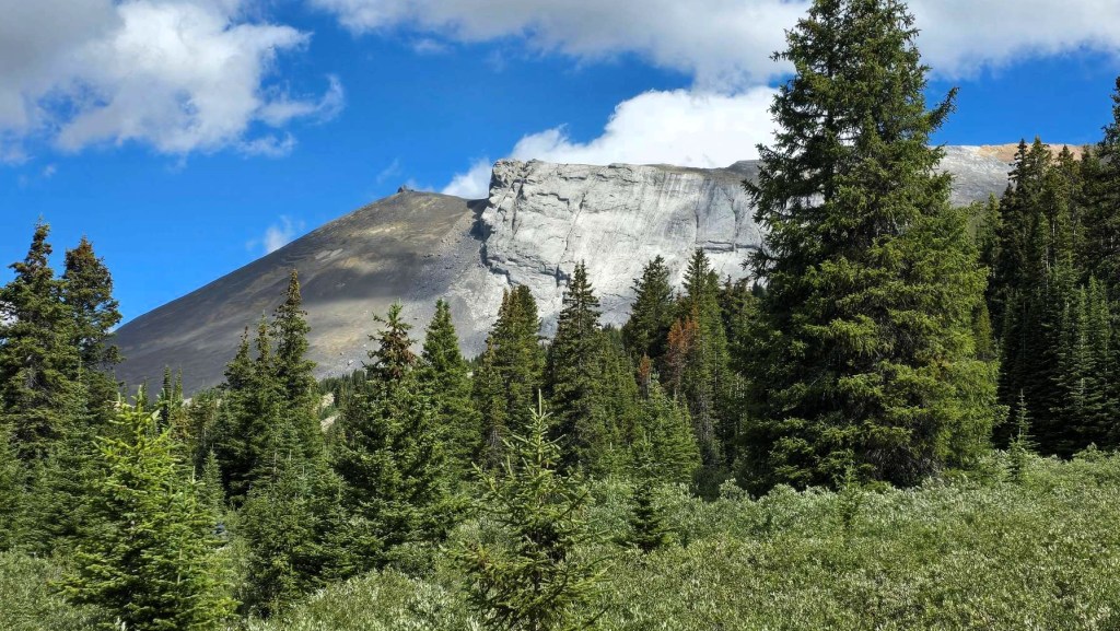 Scenic view of a mountain peak surrounded by lush green trees under a blue sky with scattered clouds.
