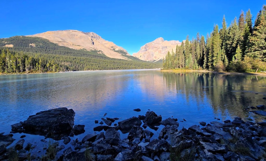 A scenic view of Brazeau Lake surrounded by mountains and trees, with a clear blue sky reflecting on the calm water.