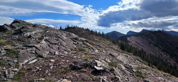 Rocky mountain landscape with patches of grass and trees under a partly cloudy sky.