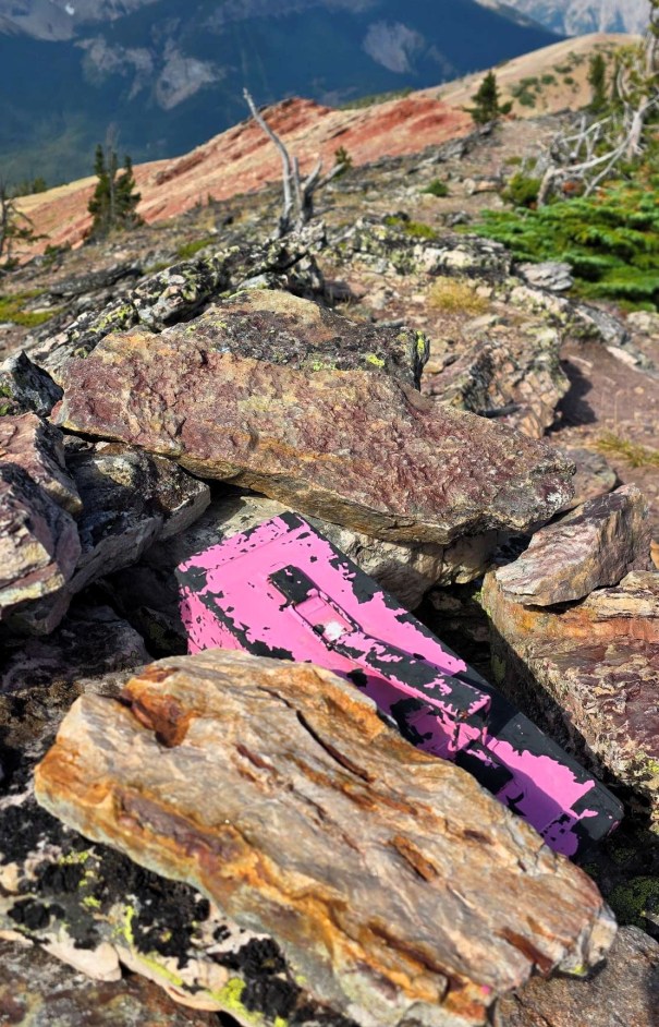A vibrant pink object partially hidden among rugged, colorful rocks on a mountain landscape, with greenery and distant mountains in the background.