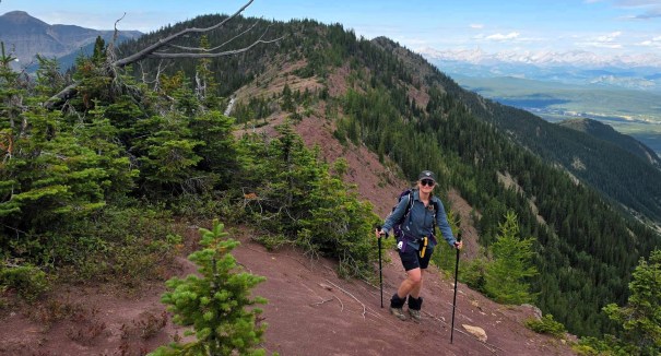 A hiker ascending a rocky trail with trekking poles, surrounded by lush green trees and mountains in the background.
