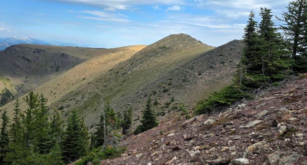 A mountainous landscape featuring rolling hills, rocky terrain, and scattered evergreen trees under a partly cloudy sky.