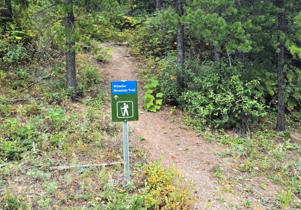 Trail sign for Whistler Mountain Trail directing hikers up a dirt path through greenery.