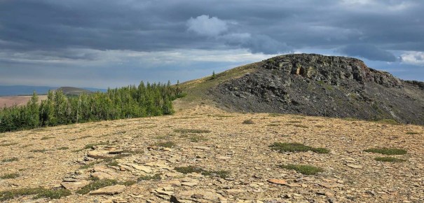 A rocky landscape with a hill in the background, surrounded by patches of vegetation under a cloudy sky.