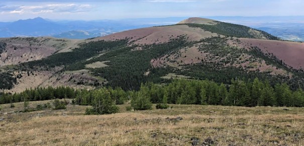 A panoramic view of a mountainous landscape featuring a grassy foreground, rolling hills, and a distant peak under a blue sky with scattered clouds.