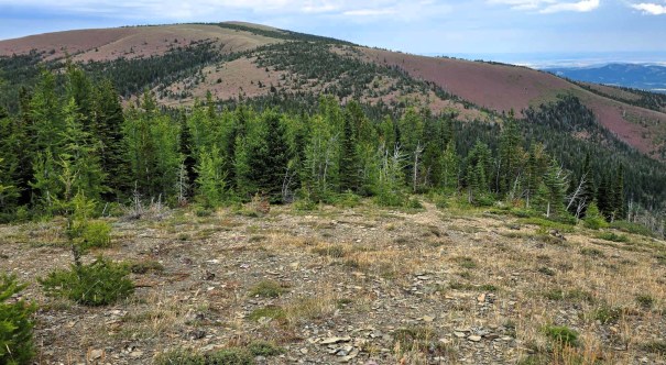 A scenic view of mountainous terrain with a mixture of green coniferous trees and rocky ground, under a partly cloudy sky.