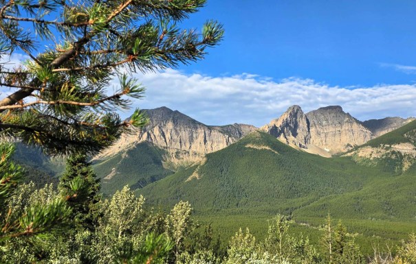 Scenic view of mountain peaks with a blue sky and green forests in the foreground.