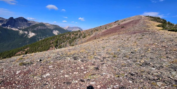 A panoramic view of a rugged mountain landscape featuring a sloping terrain with sparse vegetation, rocky ground, and distant peaks under a clear blue sky.