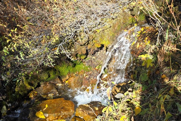 A small stream of water flowing over rocks, surrounded by autumn foliage and moss.