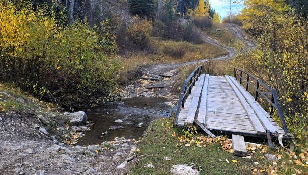 A wooden bridge crossing a small stream surrounded by autumn foliage and a winding trail in a forested area.