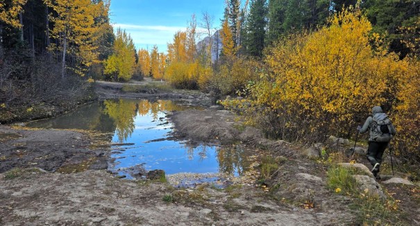 A hiker walks along a rocky path beside a calm, reflective stream surrounded by vibrant autumn foliage in yellow and green.