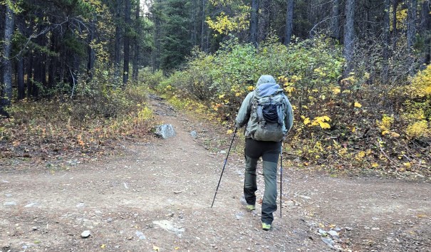 A hiker navigating a fork in the trail through a forest, surrounded by autumn foliage.