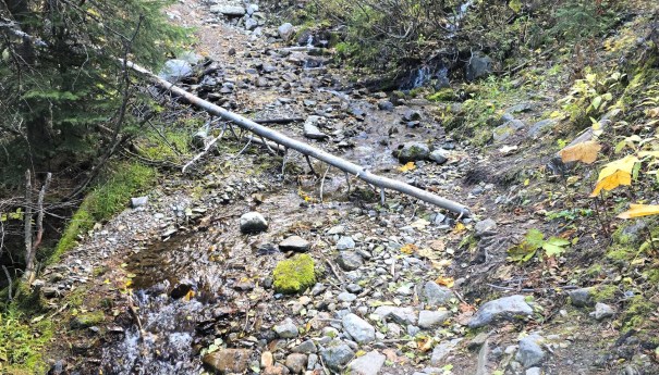 A rocky trail with a small stream running through it, featuring a fallen log and scattered pebbles and greenery.