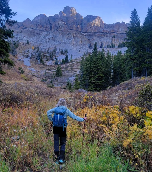 A hiker walking through a grassy meadow with autumn foliage, surrounded by tall trees and rocky mountains in the background.